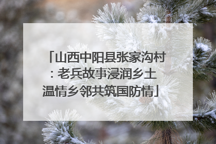 山西中阳县张家沟村：老兵故事浸润乡土 温情乡邻共筑国防情