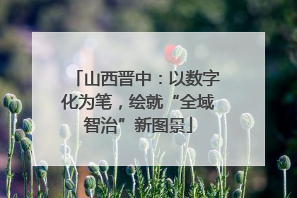 山西晋中：以数字化为笔，绘就“全域智治”新图景