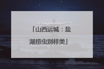 山西运城：盐湖捞虫别样美