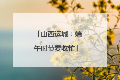 山西运城：端午时节麦收忙