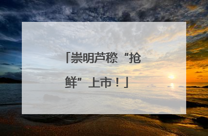崇明芦穄“抢鲜”上市！