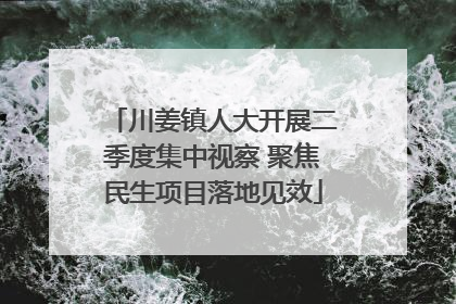 川姜镇人大开展二季度集中视察 聚焦民生项目落地见效