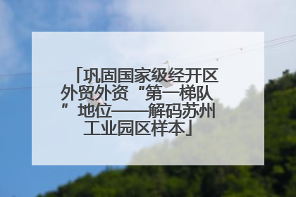 巩固国家级经开区外贸外资“第一梯队”地位——解码苏州工业园区样本