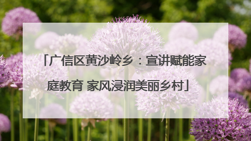 广信区黄沙岭乡：宣讲赋能家庭教育 家风浸润美丽乡村