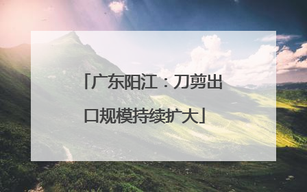 广东阳江：刀剪出口规模持续扩大