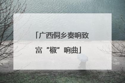 广西侗乡奏响致富“椒”响曲