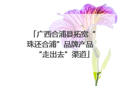 广西合浦县拓宽“珠还合浦”品牌产品“走出去”渠道