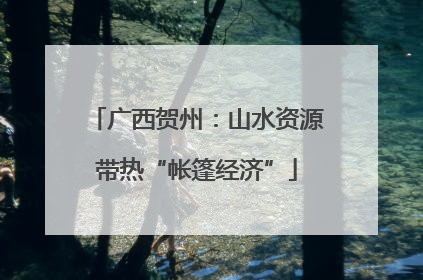 广西贺州：山水资源带热“帐篷经济”