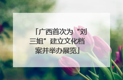 广西首次为“刘三姐”建立文化档案并举办展览