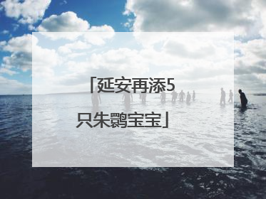 延安再添5只朱鹮宝宝