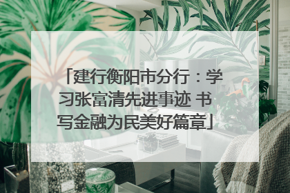 建行衡阳市分行：学习张富清先进事迹 书写金融为民美好篇章