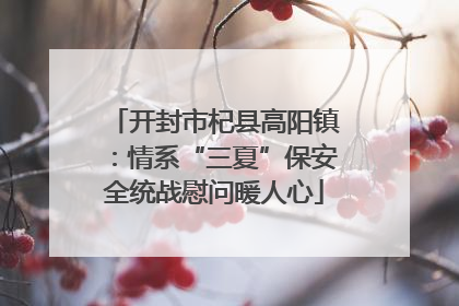 开封市杞县高阳镇：情系“三夏”保安全统战慰问暖人心