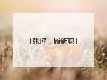 张瑾，履新职