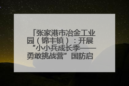 张家港市冶金工业园（锦丰镇）：开展“小小兵成长季——勇敢挑战营”国防启蒙教育活动