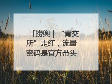 捞舆｜“青交所”走红，流量密码是官方带头“玩起来”