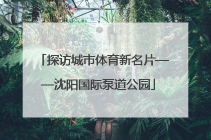 探访城市体育新名片——沈阳国际泵道公园