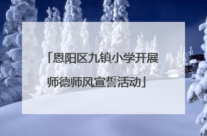 恩阳区九镇小学开展师德师风宣誓活动