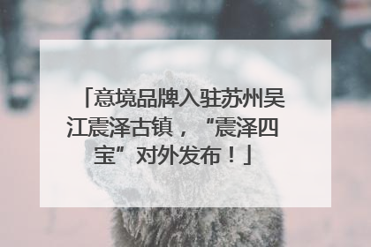 意境品牌入驻苏州吴江震泽古镇，“震泽四宝”对外发布！