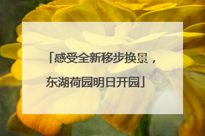 感受全新移步换景，东湖荷园明日开园