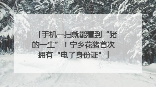 手机一扫就能看到“猪的一生”！宁乡花猪首次拥有“电子身份证”