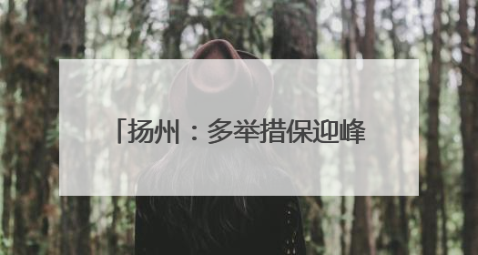 扬州：多举措保迎峰度夏电力稳定供应
