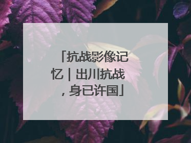 抗战影像记忆｜出川抗战，身已许国