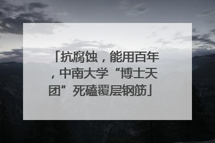 抗腐蚀，能用百年，中南大学“博士天团”死磕覆层钢筋