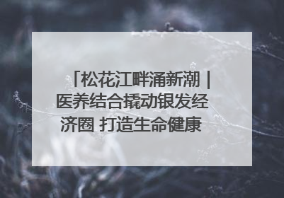 松花江畔涌新潮｜医养结合撬动银发经济圈 打造生命健康产业新样本