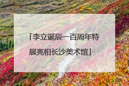 李立诞辰一百周年特展亮相长沙美术馆