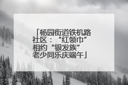 杨园街道铁机路社区：“红领巾”相约“银发族” 老少同乐庆端午