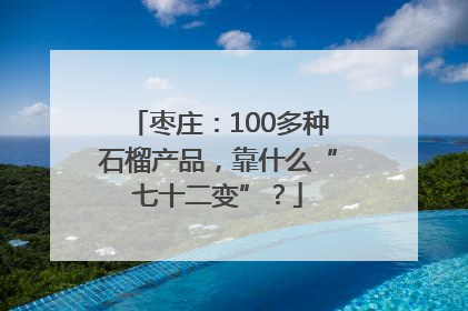 枣庄：100多种石榴产品，靠什么“七十二变”？