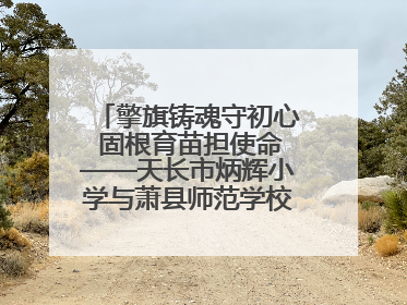 擎旗铸魂守初心 固根育苗担使命——天长市炳辉小学与萧县师范学校附属小学结对共建活动纪实