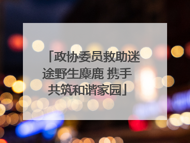 政协委员救助迷途野生麋鹿 携手共筑和谐家园