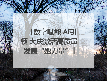数字赋能 AI引领 大庆激活高质量发展“她力量”