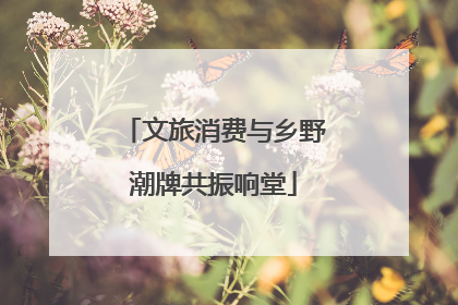 文旅消费与乡野潮牌共振响堂