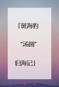 斑海豹“汤圆”归海记