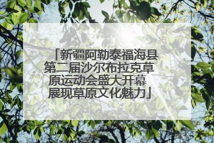新疆阿勒泰福海县第二届沙尔布拉克草原运动会盛大开幕 展现草原文化魅力