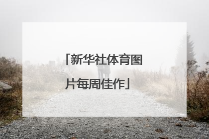 新华社体育图片每周佳作