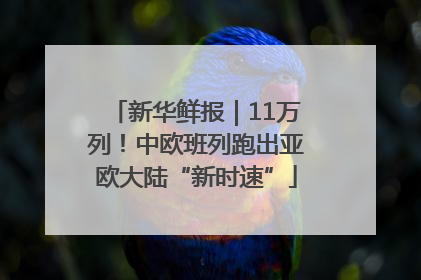 新华鲜报｜11万列！中欧班列跑出亚欧大陆“新时速”