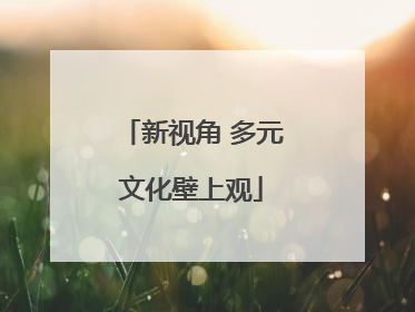 新视角 多元文化壁上观