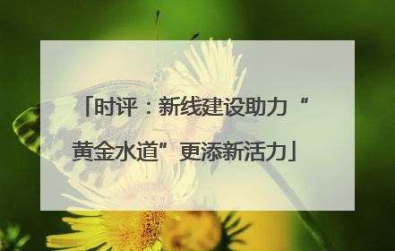 时评：新线建设助力“黄金水道”更添新活力
