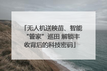 无人机送秧苗、智能“管家”巡田 解锁丰收背后的科技密码