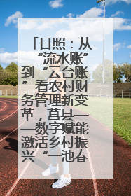 日照：从“流水账”到“云台账”看农村财务管理新变革，莒县——数字赋能激活乡村振兴“一池春水”