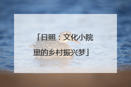 日照：文化小院里的乡村振兴梦
