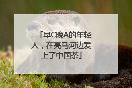 早C晚A的年轻人，在亮马河边爱上了中国茶