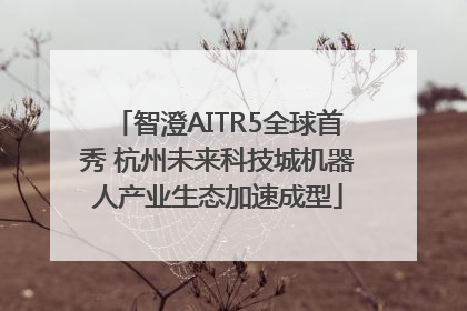智澄AITR5全球首秀 杭州未来科技城机器人产业生态加速成型