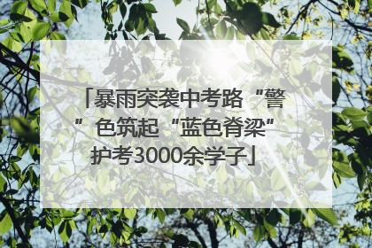 暴雨突袭中考路“警”色筑起“蓝色脊梁”护考3000余学子