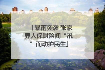 暴雨突袭 张家界人保财险闻“汛”而动护民生