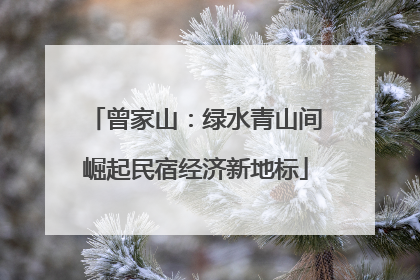 曾家山：绿水青山间崛起民宿经济新地标