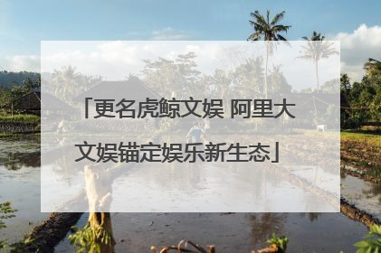 更名虎鲸文娱 阿里大文娱锚定娱乐新生态